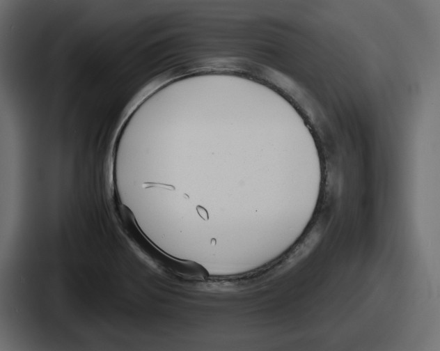 X0000086761370200705111706