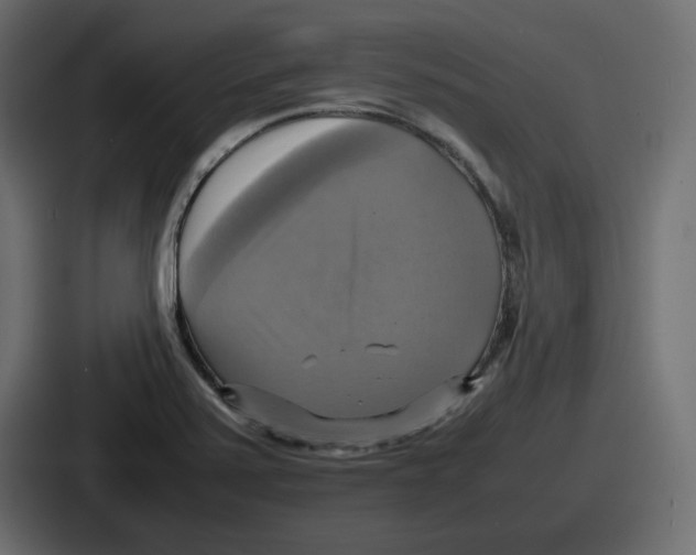 X0000086761371200705111706