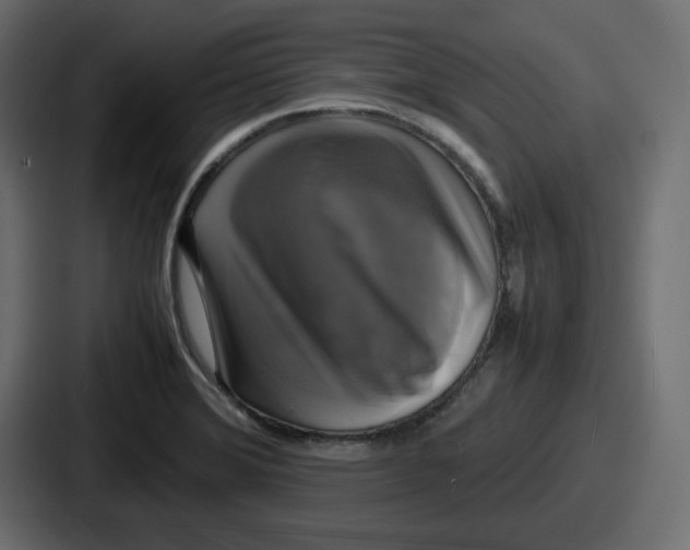 X0000086761372200705111706