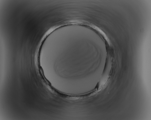 X0000086761373200705111706