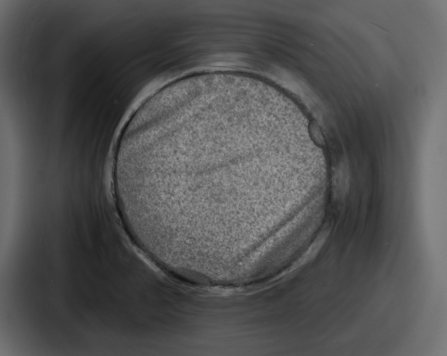 X0000086761374200705111706