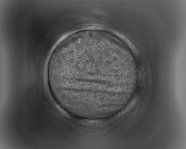 X0000086761375200705111706