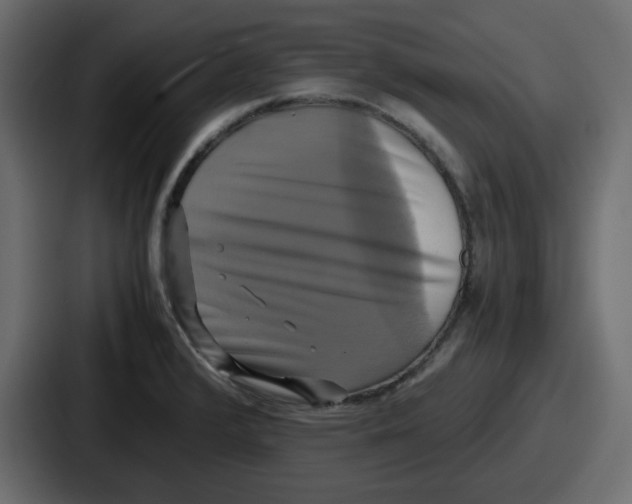 X0000086761376200705111706