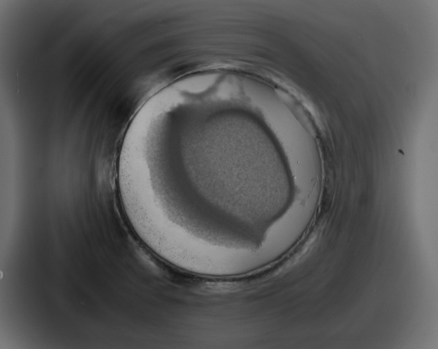 X0000086761377200705111706