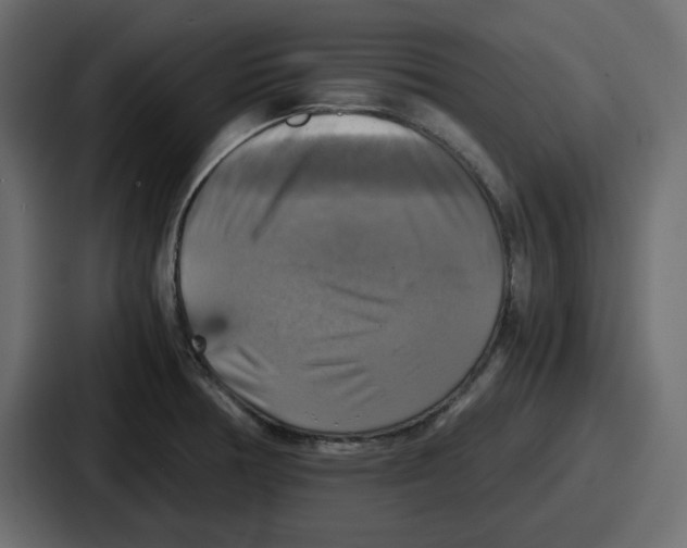 X0000086761378200705111706