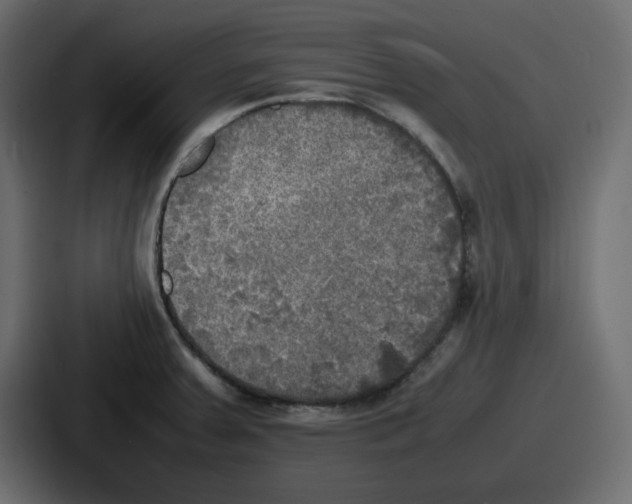 X0000086761379200705111706