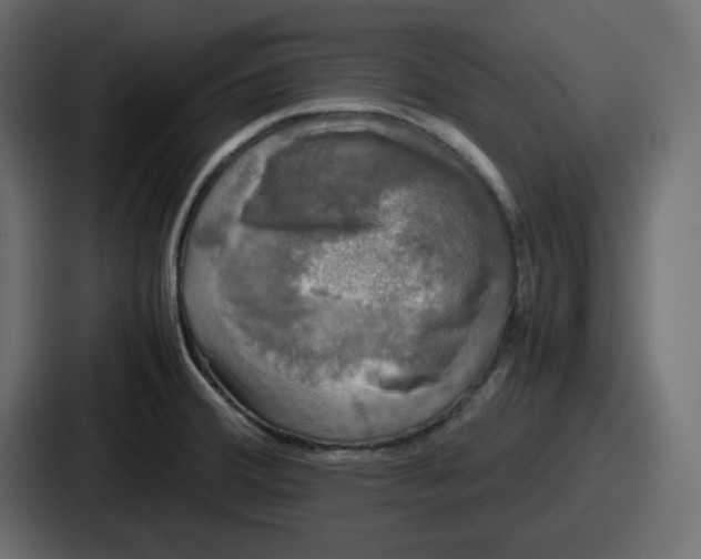 X0000086761380200705111706