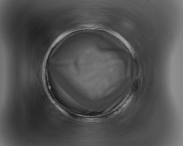 X0000086761381200705111706