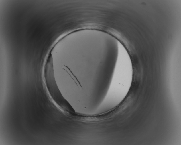 X0000086761383200705111706