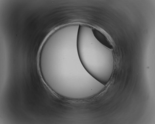 X0000086761384200705111706