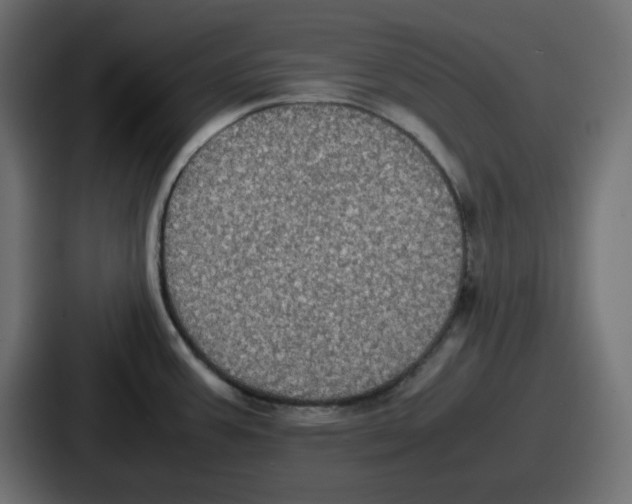 X0000086761387200705111706