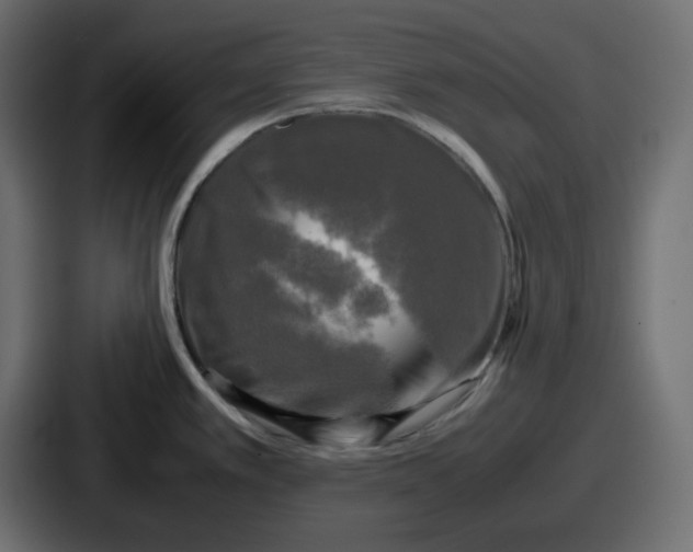 X0000086761389200705111706