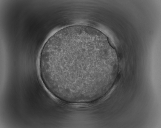 X0000086761391200705111706