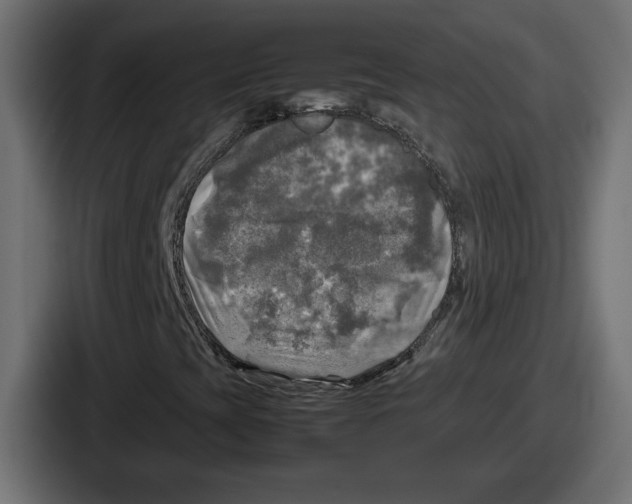 X0000086761393200705111706