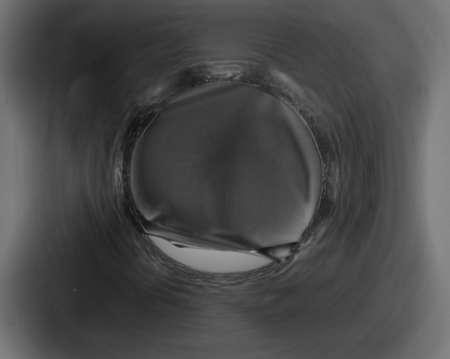 X0000086761394200705111706