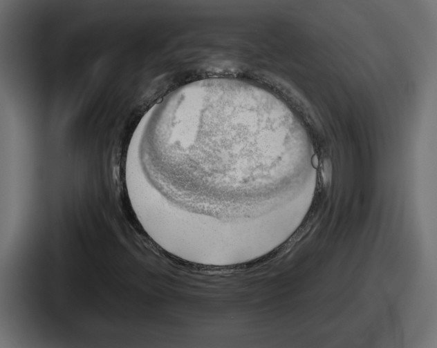 X0000086761396200705111706