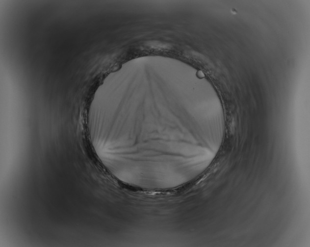 X0000086761397200705111706