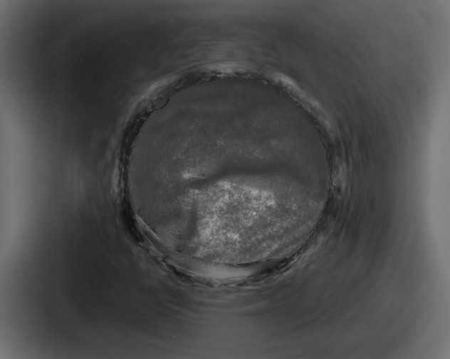 X0000086761398200705111706