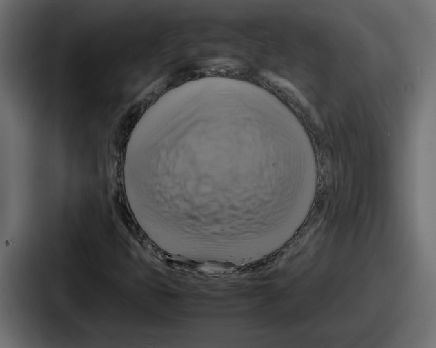 X0000086761399200705111706