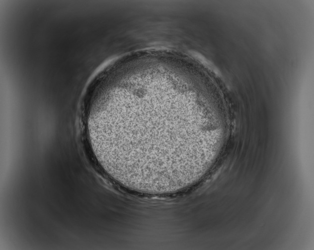 X0000086761400200705111706