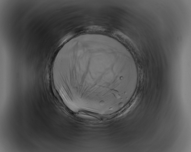 X0000086761401200705111706