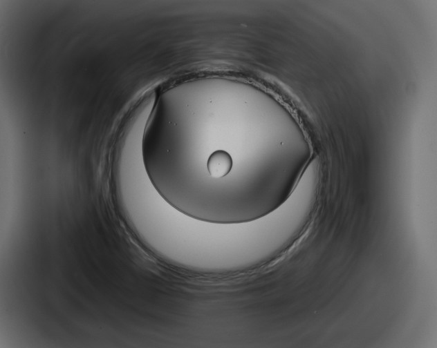 X0000086761402200705111706