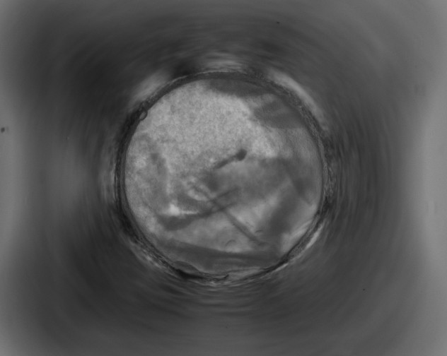 X0000086761403200705111706