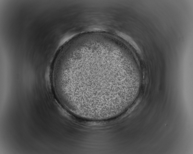 X0000086761404200705111706