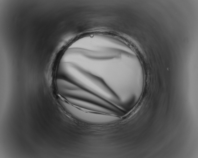 X0000086761406200705111706