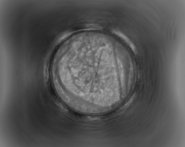 X0000086761407200705111706