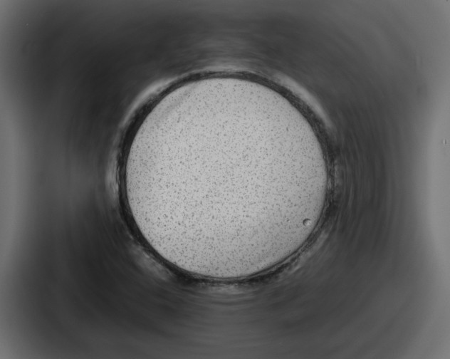 X0000086761408200705111706