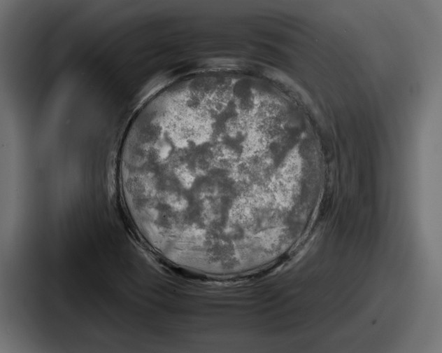 X0000086761409200705111706