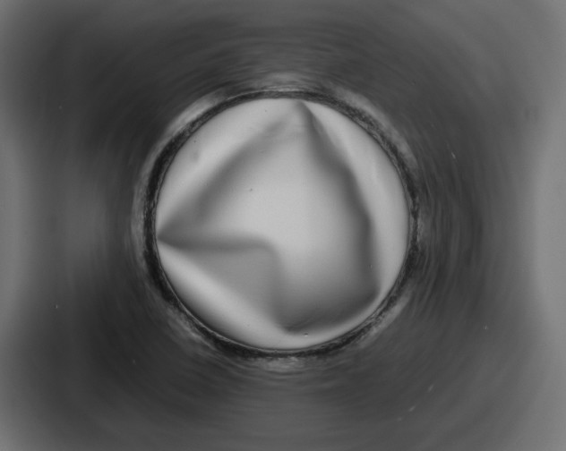 X0000086761410200705111706