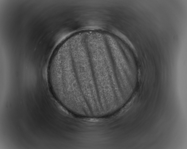 X0000086761412200705111706