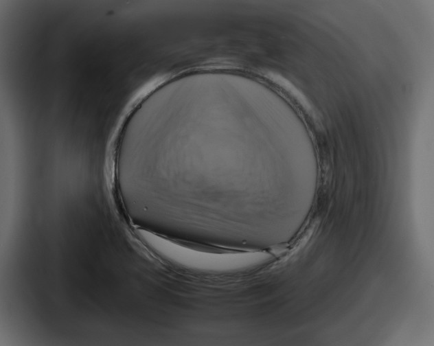 X0000086761413200705111706