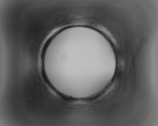 X0000086761414200705111706