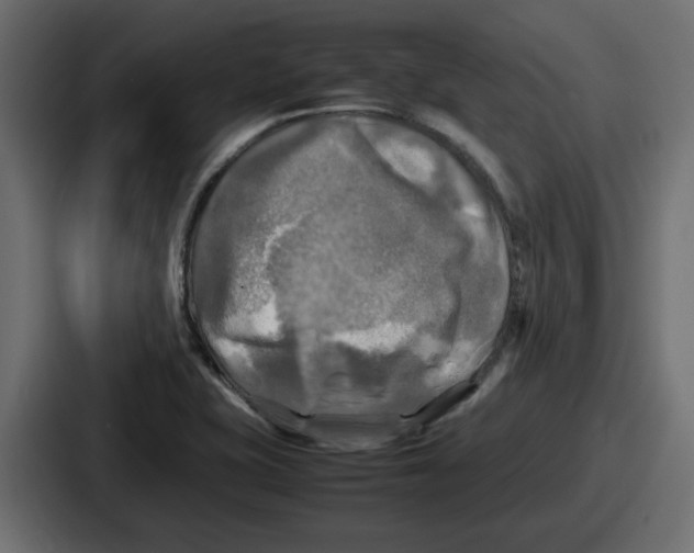 X0000086761415200705111706