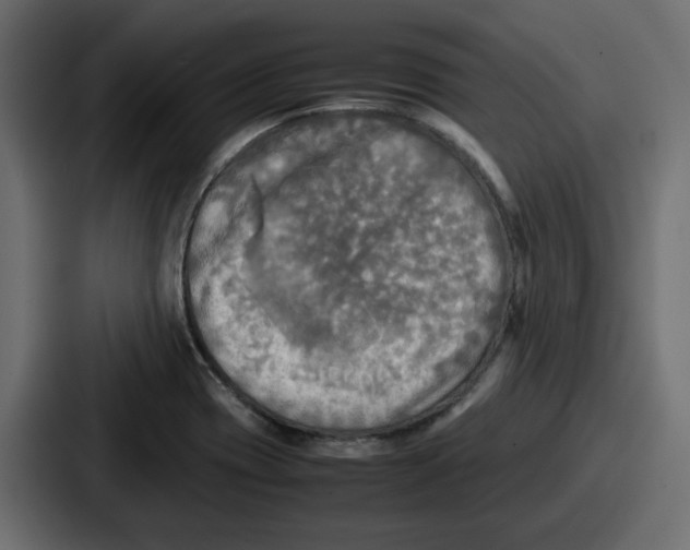 X0000086761417200705111706