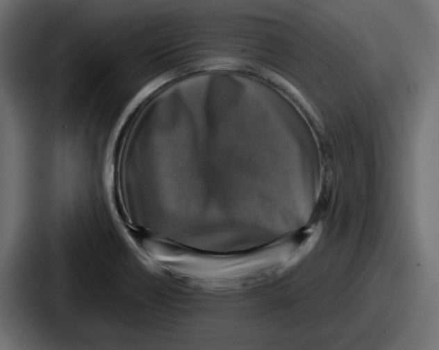 X0000086761418200705111706