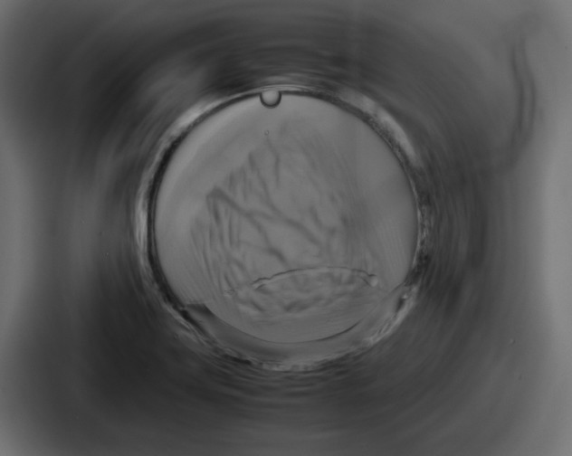 X0000086761419200705111706