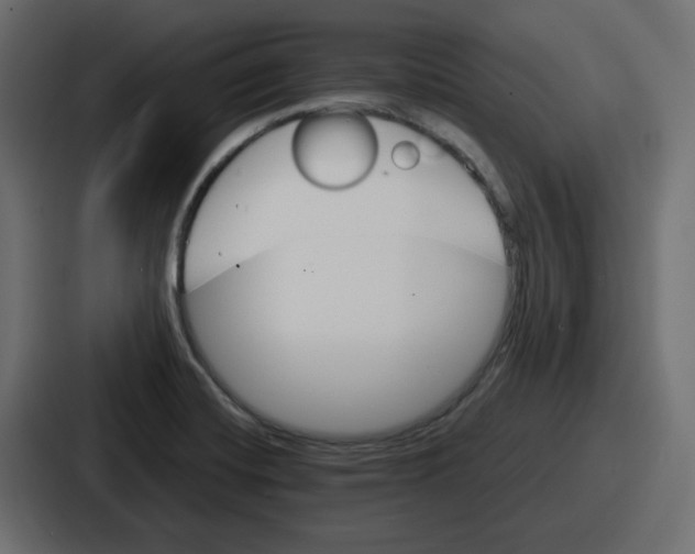 X0000086761420200705111706