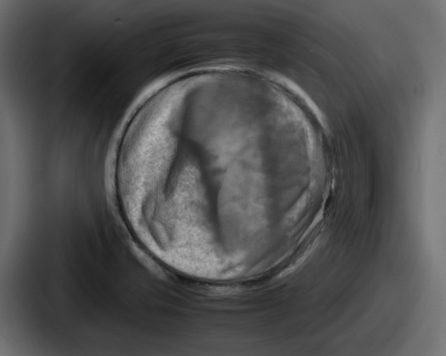 X0000086761421200705111706