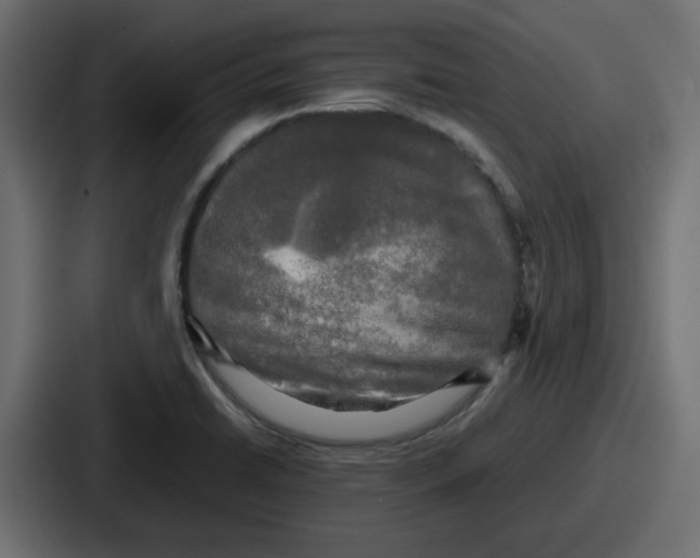 X0000086761422200705111706