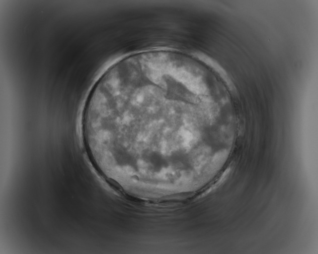 X0000086761423200705111706