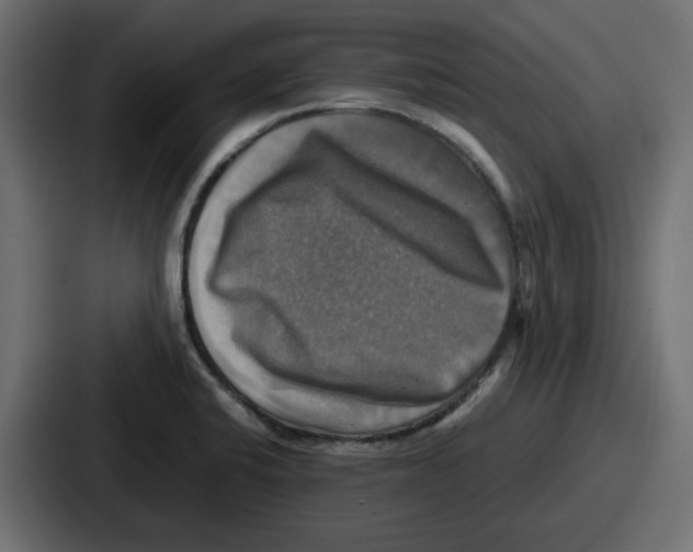 X0000086761424200705111706