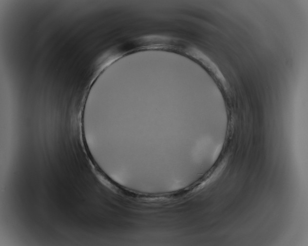 X0000086761425200705111706