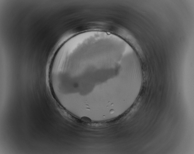 X0000086761427200705111706