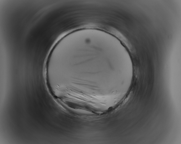 X0000086761428200705111706