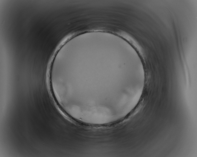 X0000086761429200705111706