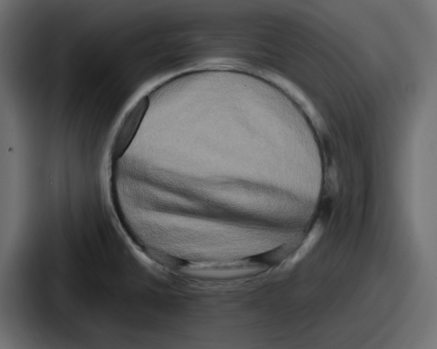 X0000086761430200705111706